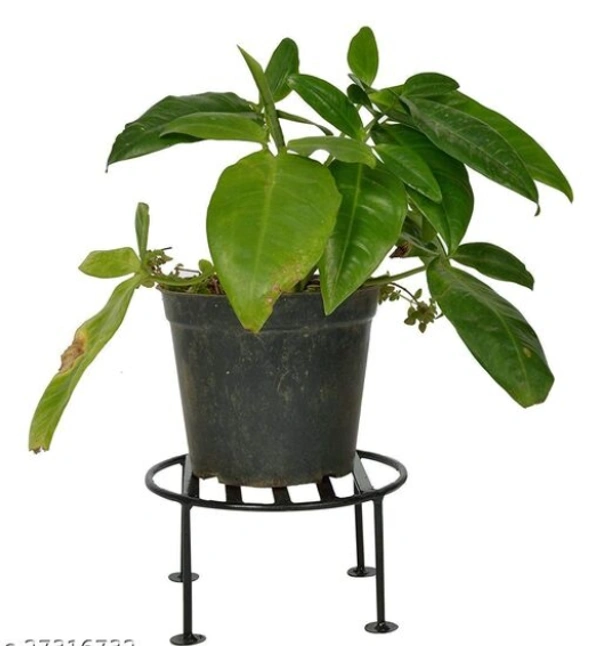 Circle Iron Pots& Planter Stand It will give any place a splendid look and a dash of style Pack of 4 - Round